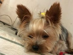-春风十里咖啡馆
