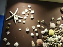 -石林冰雪海洋世界