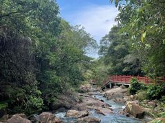 -广州白江湖森林公园