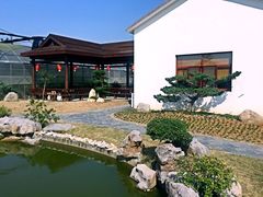 -呼吸森林·生态农庄农家乐私房菜