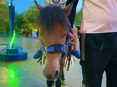 -郑州方特梦幻王国