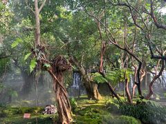 -Chom Cafe and Restaurant