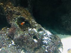 -苏州海洋馆