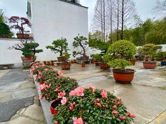 -龙华寺