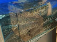 -胖子鱼·天水麻辣鱼火锅(秦州407店)