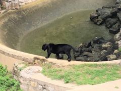 -石家庄市动物园