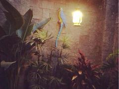 iphone_upload_pic-馬蘭花開(车站大道店)