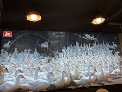 -斯丹姜母鸭·古法干香(泉州总店)