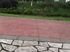 -金海湾滨江公园