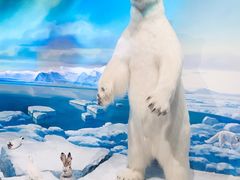 -陕西自然博物馆