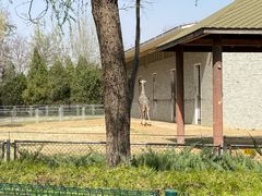 -石家庄市动物园