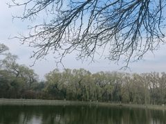 -北陵公园