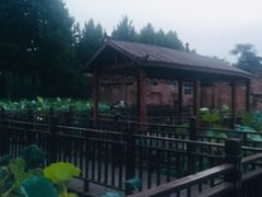 -裕华世纪公园