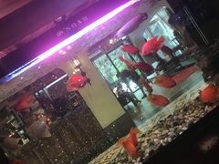 -悦百味·品质川菜(橄榄郡店)