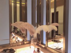 -KINI绮丽·美学肌SPA进口仪器专业店