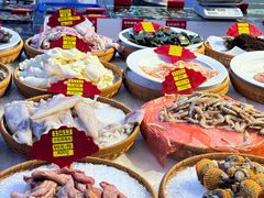 -驻海渔市(置信店)