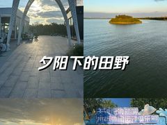 -天津东丽湖风景区