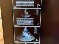 -瑞派·关忠动物医院·异宠专科·犬猫肿瘤·皮肤专科(望京店)