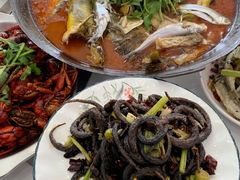 -丹水桥地锅鱼·翘嘴鲌·地方特色全鱼宴(丹江口大坝店)