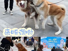 -中粮·祥云小镇