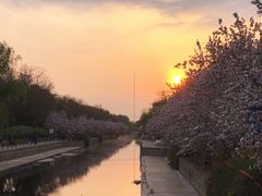 -元大都城垣遗址公园