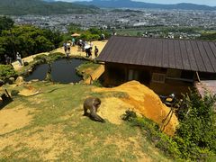 -岚山猴子公园