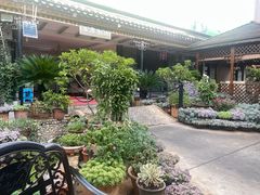 -山菌美食苑(振兴路店)