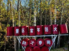 -五营红松林海景区