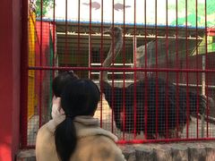 -荆州中山公园动物园