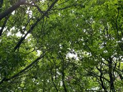 景点-虞山风景区
