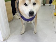 -达爱动物医院·犬猫分区·CT·复杂眼科(远洋山水分院)