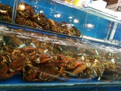 -华阳海鲜市场(府西路店)