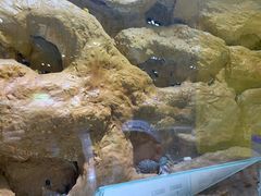 -上海昆虫博物馆