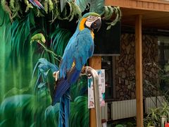 -南宫五洲植物乐园