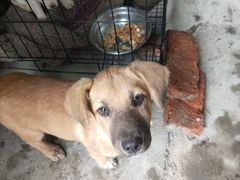 -兰剑驾校(汉阳校区)