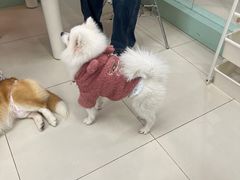 -怪兽屋·羊驼·猫咖·狗咖(俊华广场店)