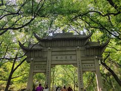 -灵岩山风景区