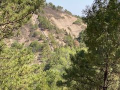 -磬锤峰森林公园