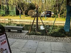 -COSTA COFFEE(西湖天地店)