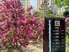 -元大都城垣遗址公园