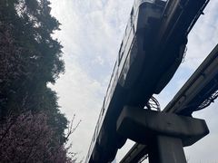 -佛图关公园