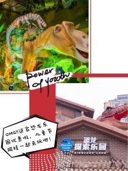 -恐龙探索乐园(磁器口店)