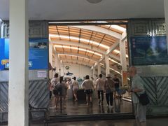 -广东惠东海龟国家级自然保护区