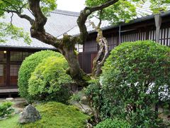 -醍醐寺