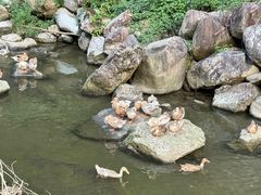 -林坑古村落