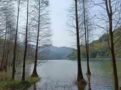 -广州市白云山风景名胜区