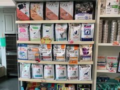 -安安宠医·安宠宠物医院