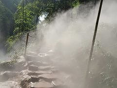 -川西竹海景区
