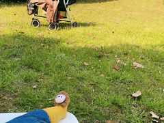 -苏州河梦清园环保主题公园