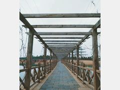 -鄱阳湖国家湿地公园